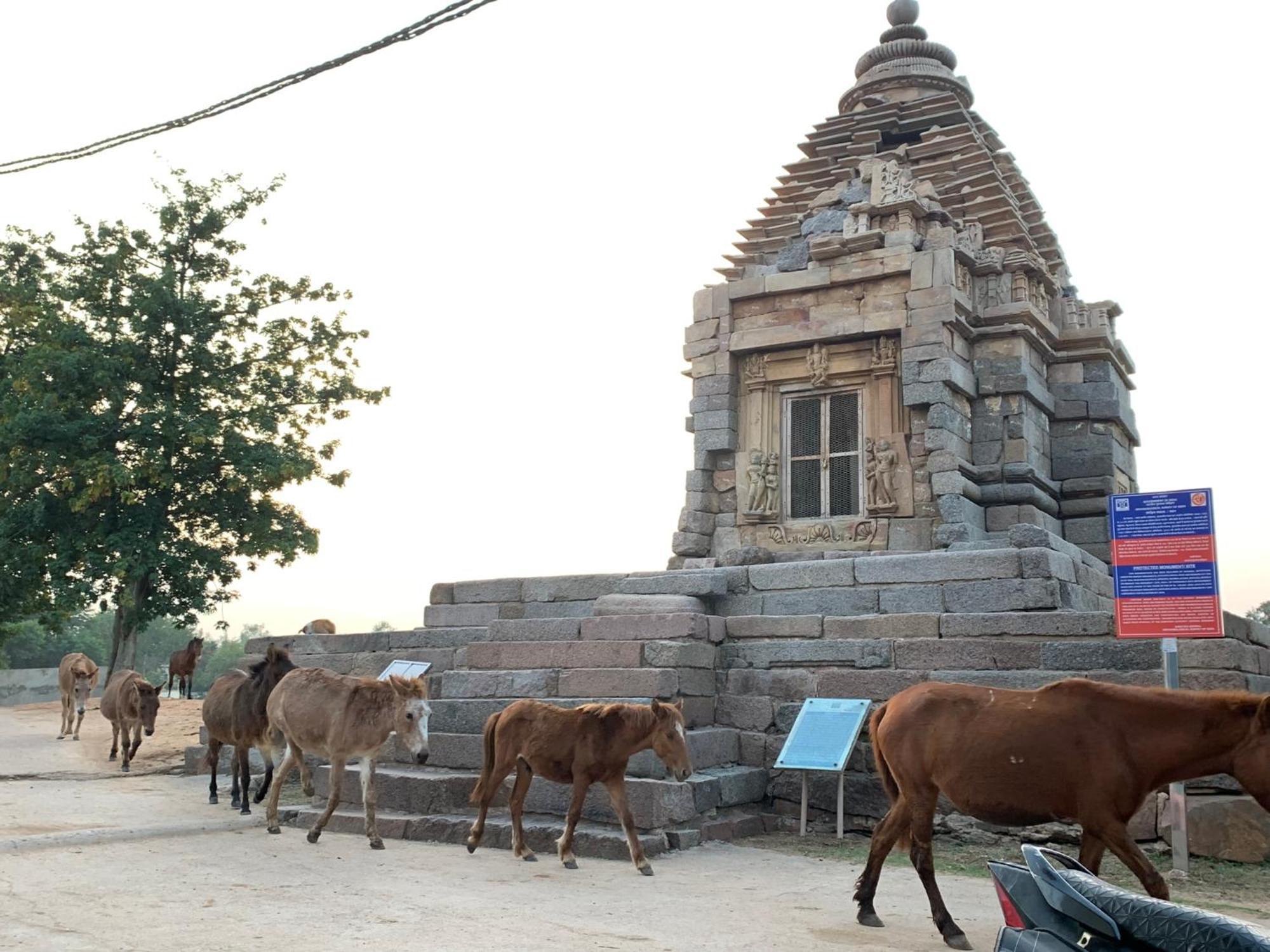 Friends In Khajuraho Lägenhet Exteriör bild